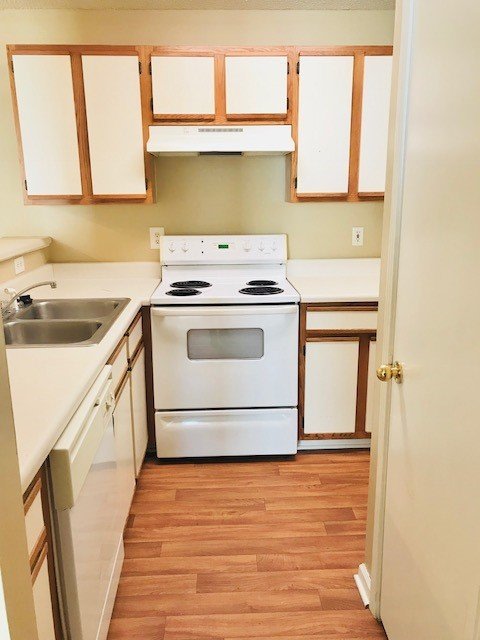 Forest Pointe Apartment Homes Image 6