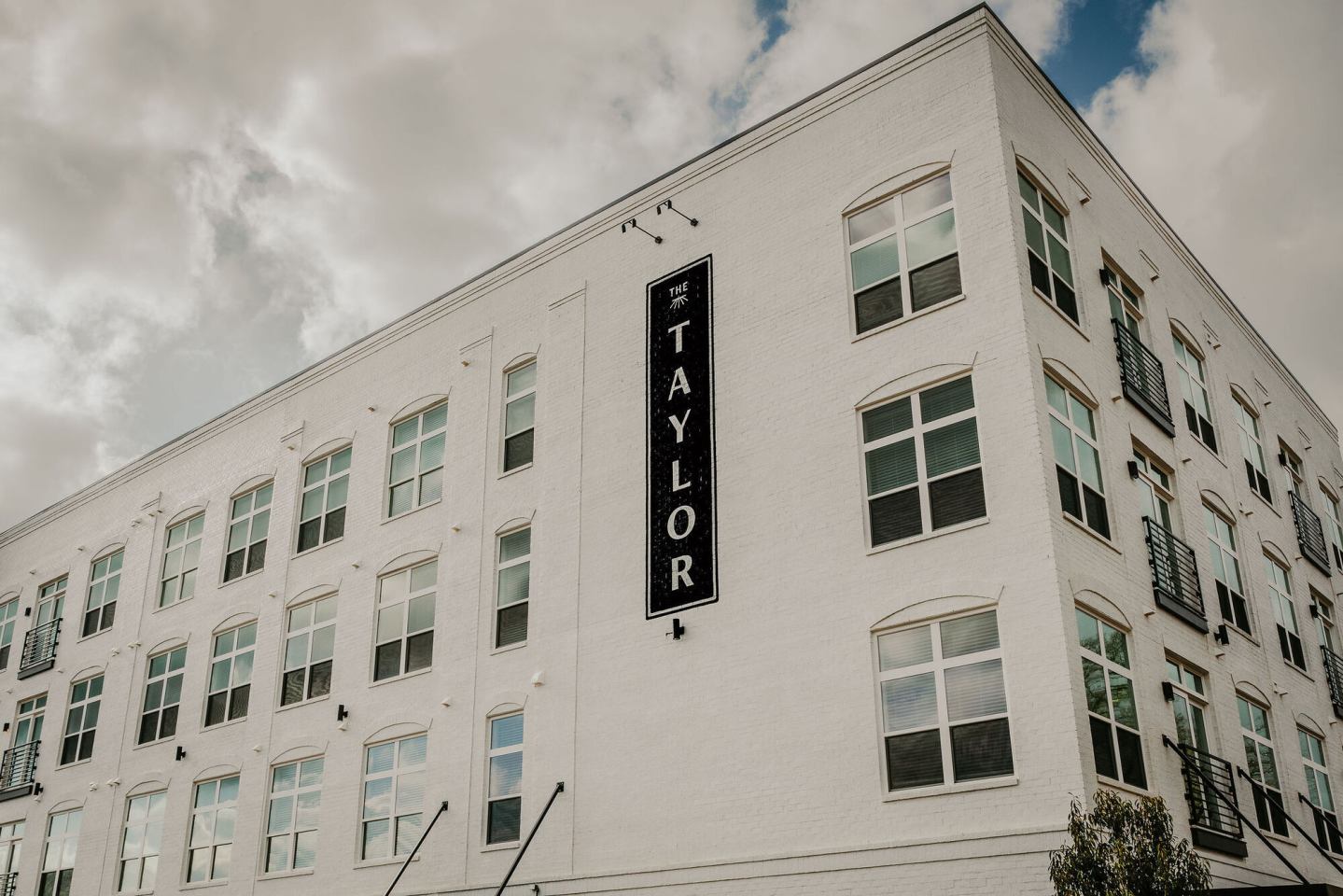 The Taylor Image 56
