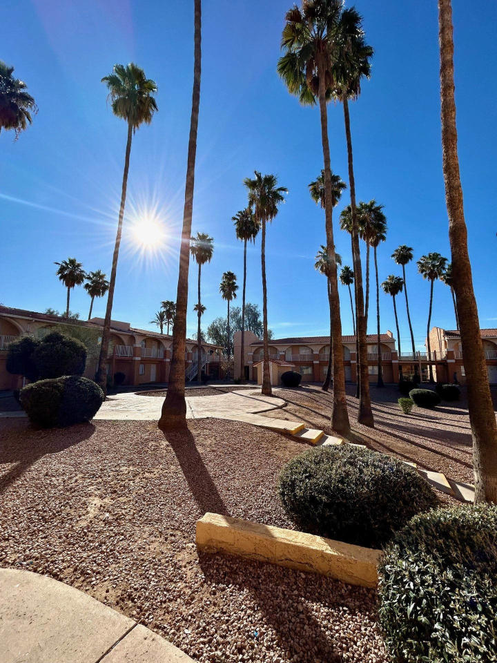 Windsor Palms Image 1