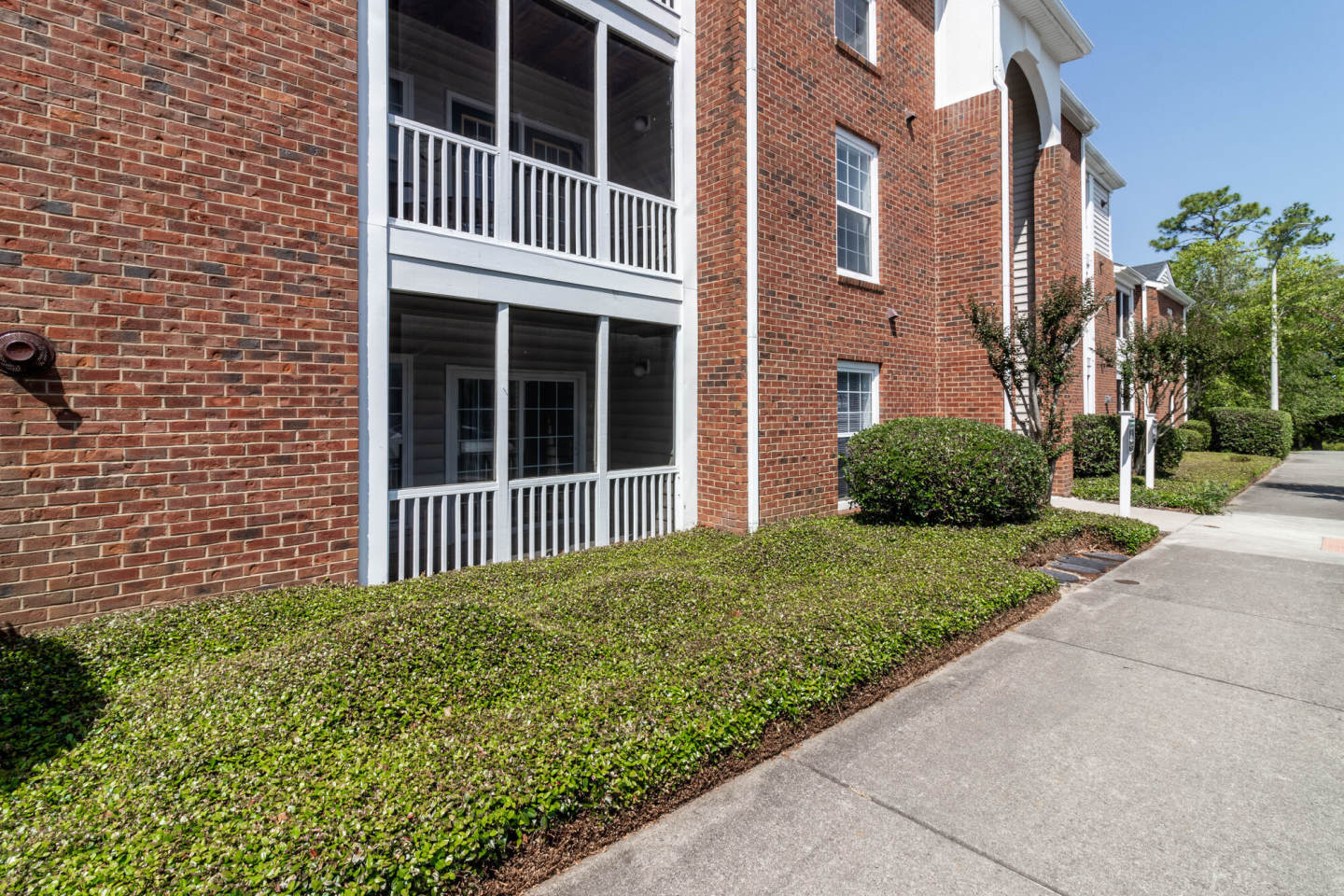Sand Ridge Image 9