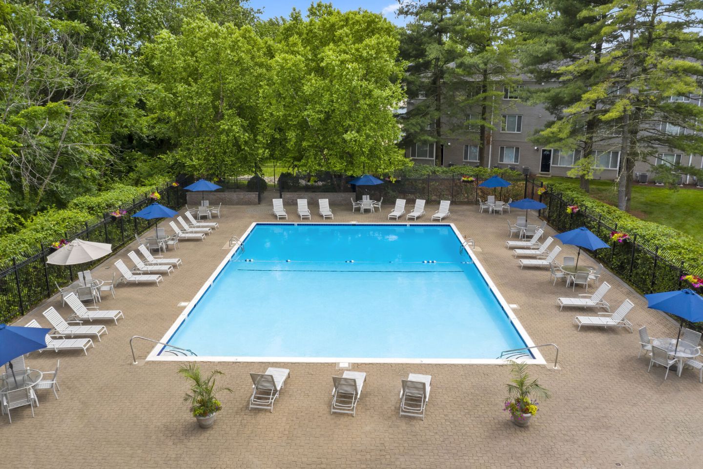 Renaissance Club Image 8