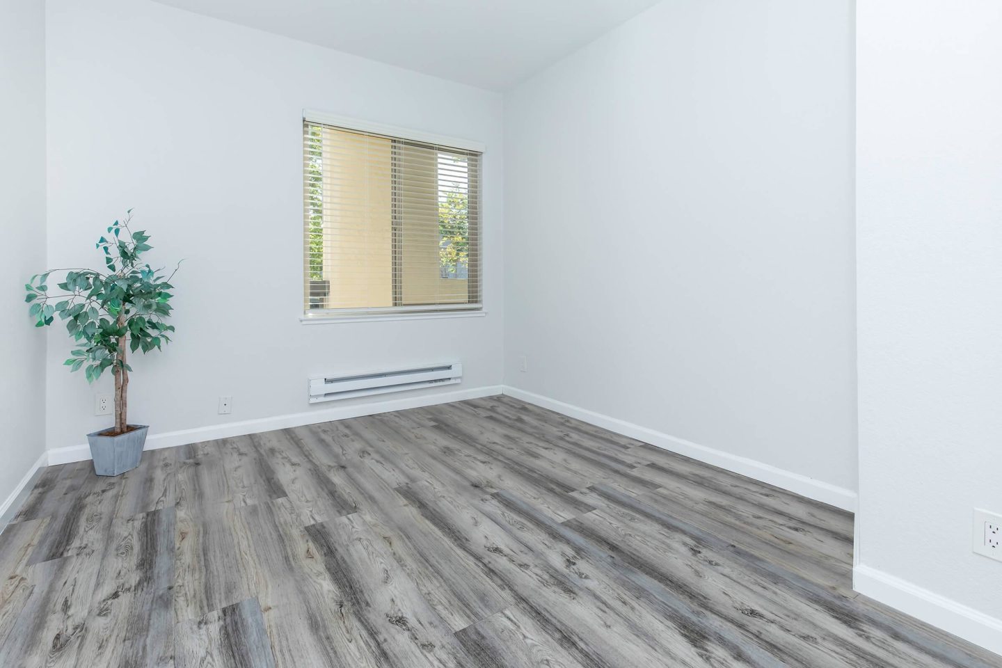 Paloma Vista Apartment Homes Image 78