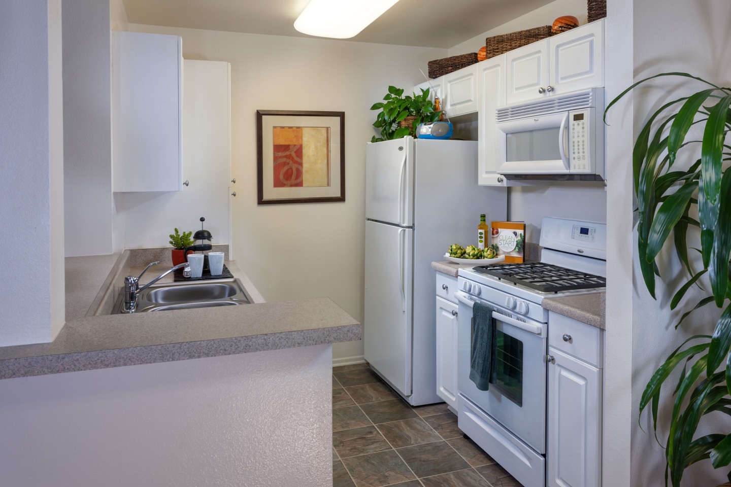 Terra Vista Apartments Image 2