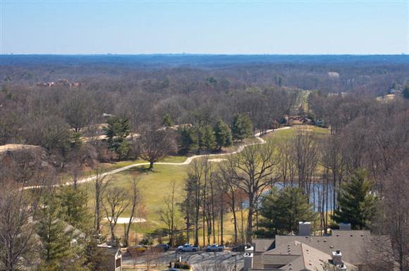Harrison at Reston Town Center Image 44