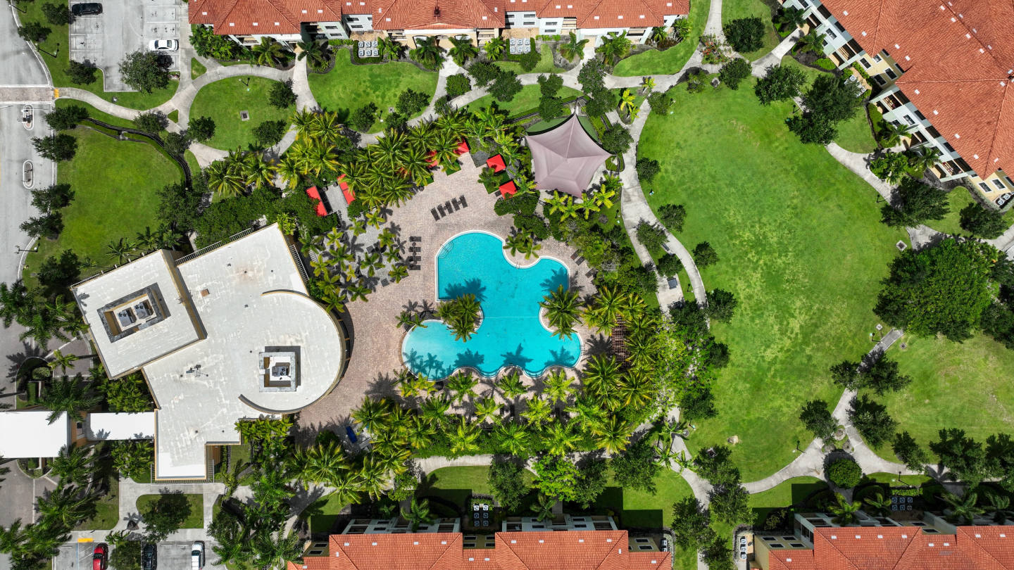 10X Sawgrass Image 1