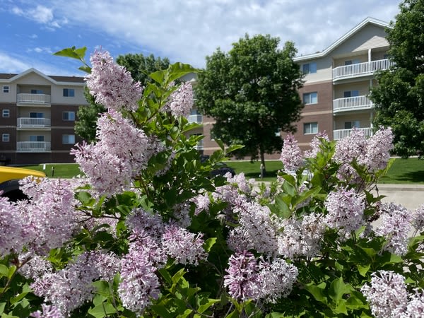 West Ridge Apartments Image 11