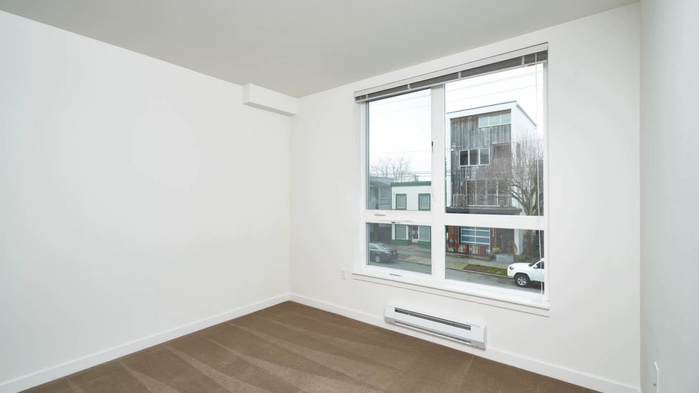 Springline Image 48