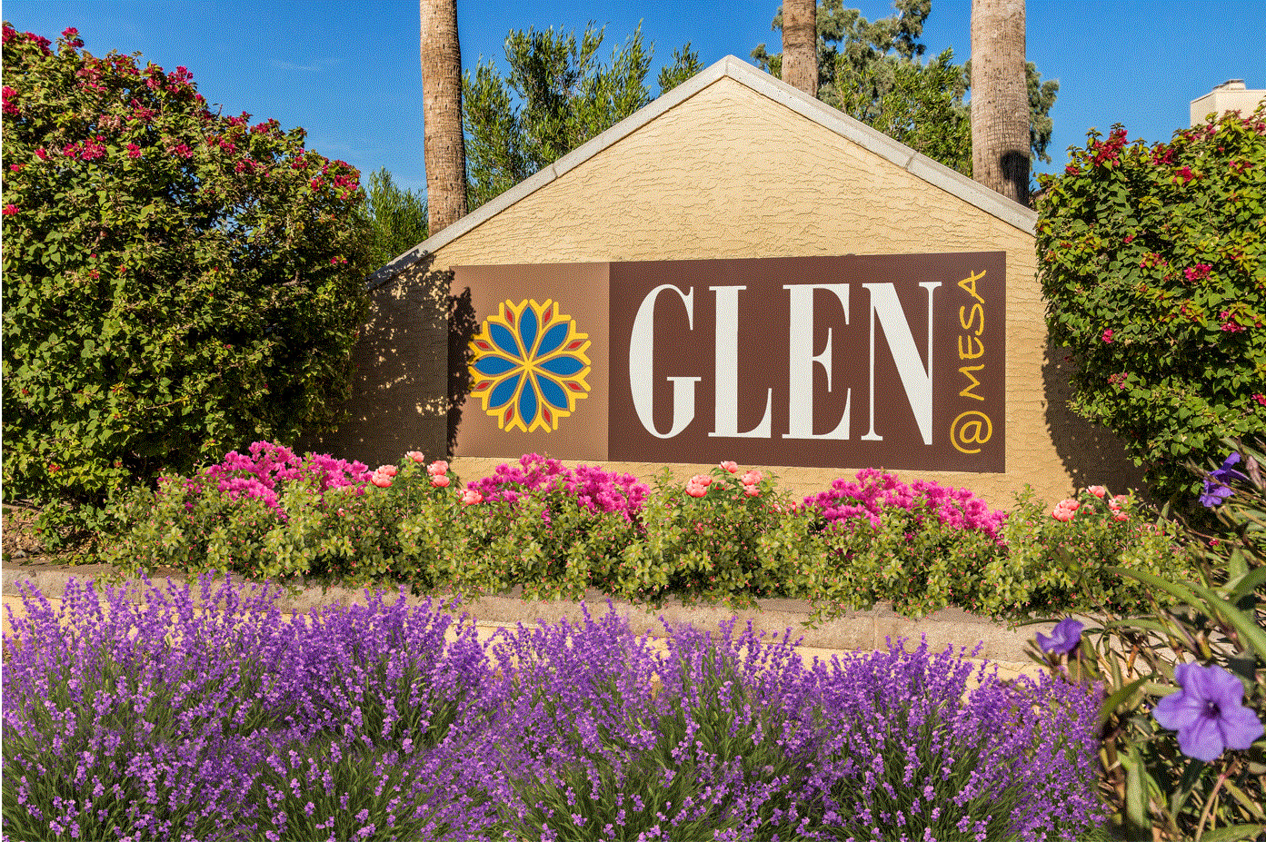 Glen at Mesa Image 22