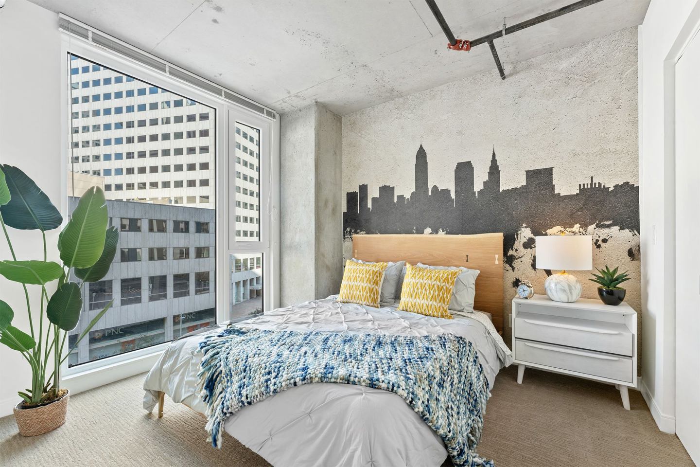 Skyline 776 Image 22