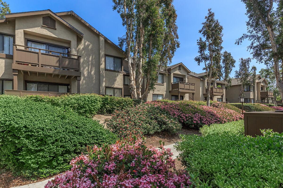 Spring Lakes Apartment Homes Image 20