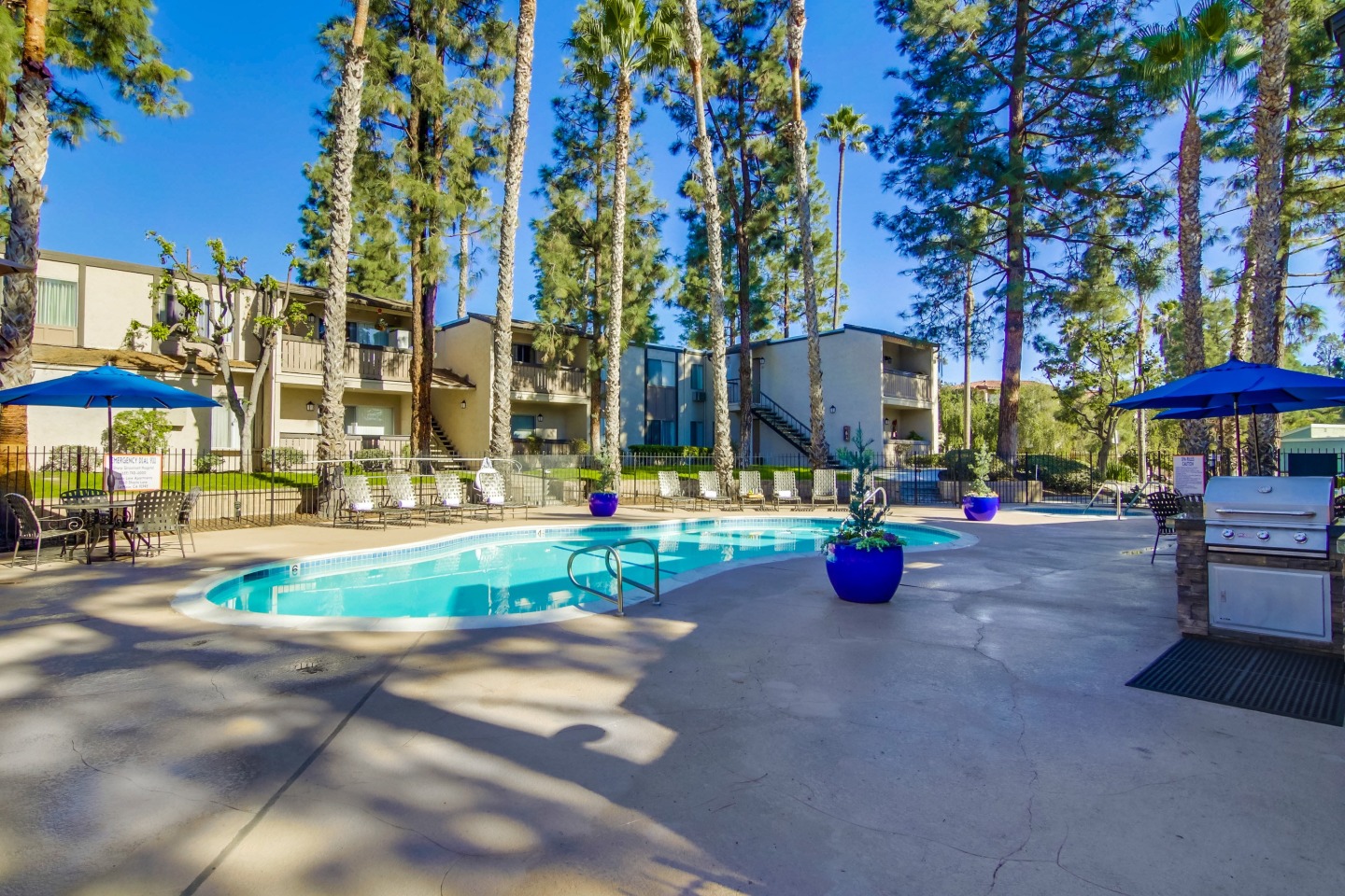 Shasta Lane Image 19