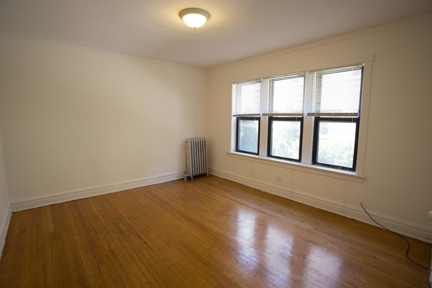 Ellis Court Image 19