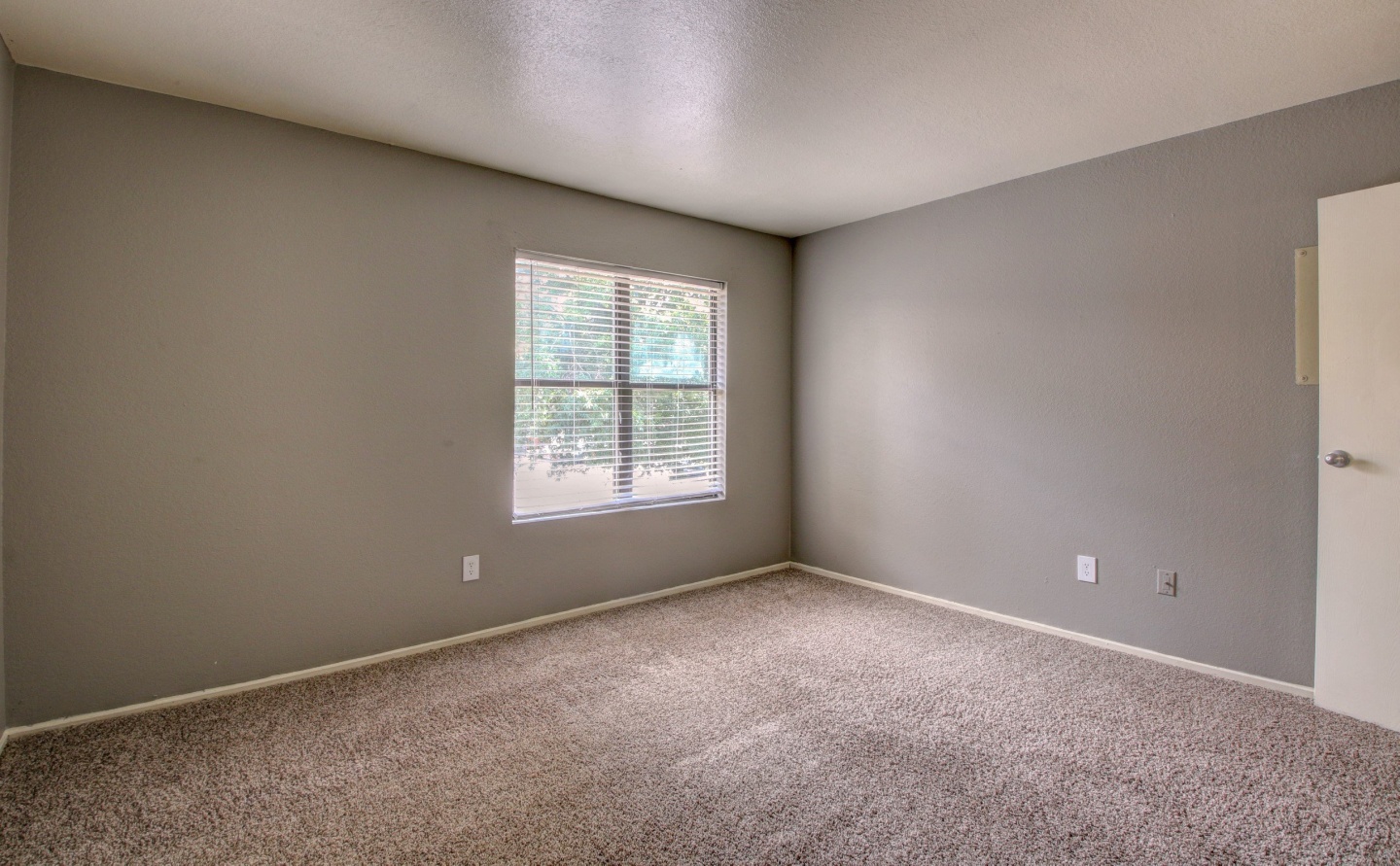 Muse Apartments Image 30