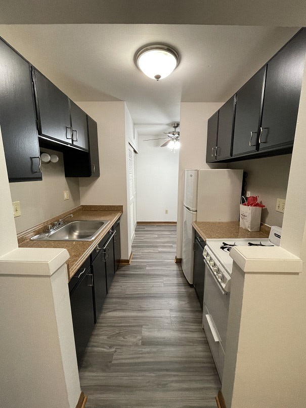 Webster Terrace II Image 4