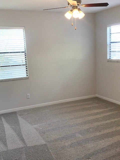 Fox Villas Image 14