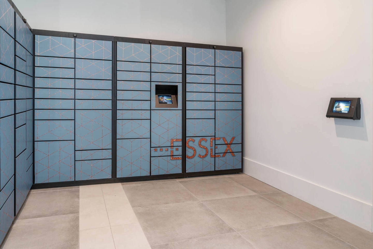 Essex Luxe Apartments Image 10
