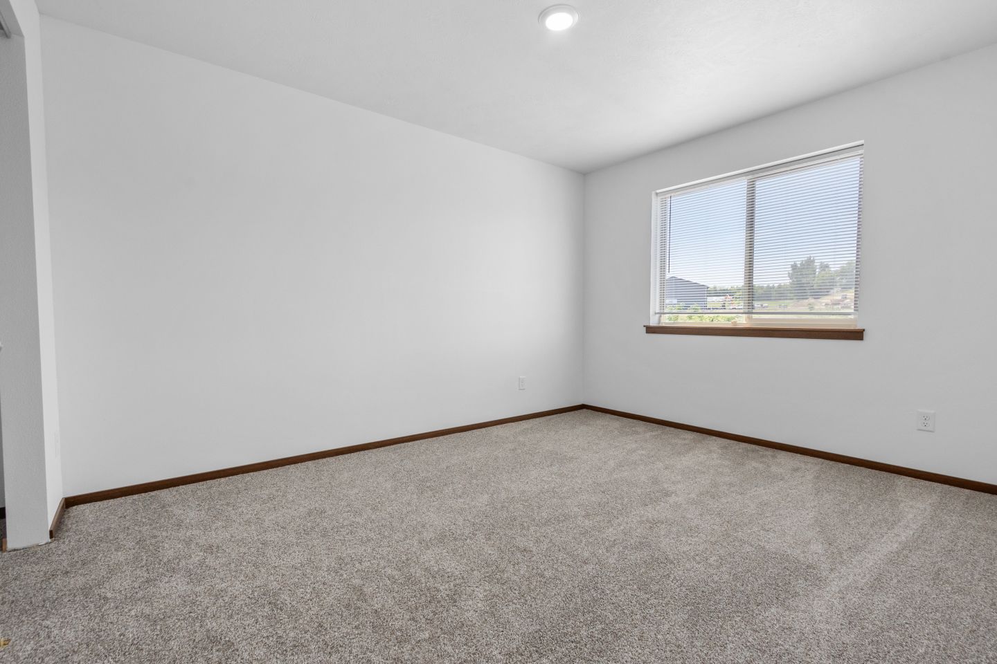 Willows South Commons Image 30