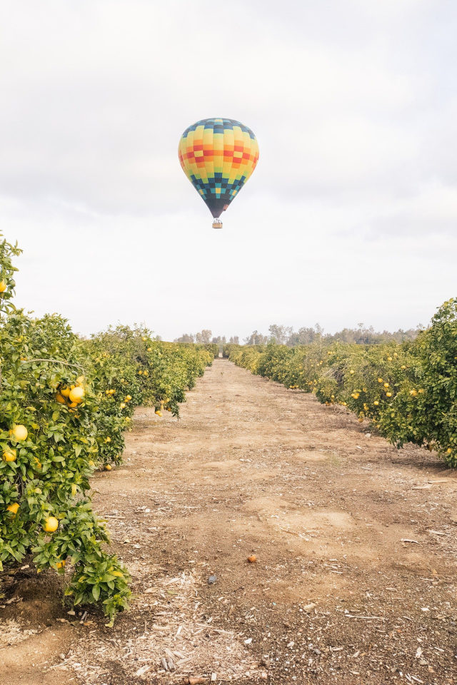 Arrive Temecula Image 43