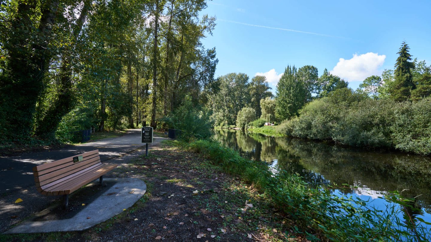 Ivorywood Image 47