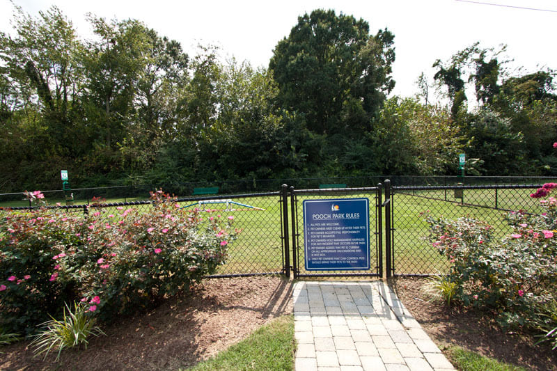 Park Towne Apartments Image 4