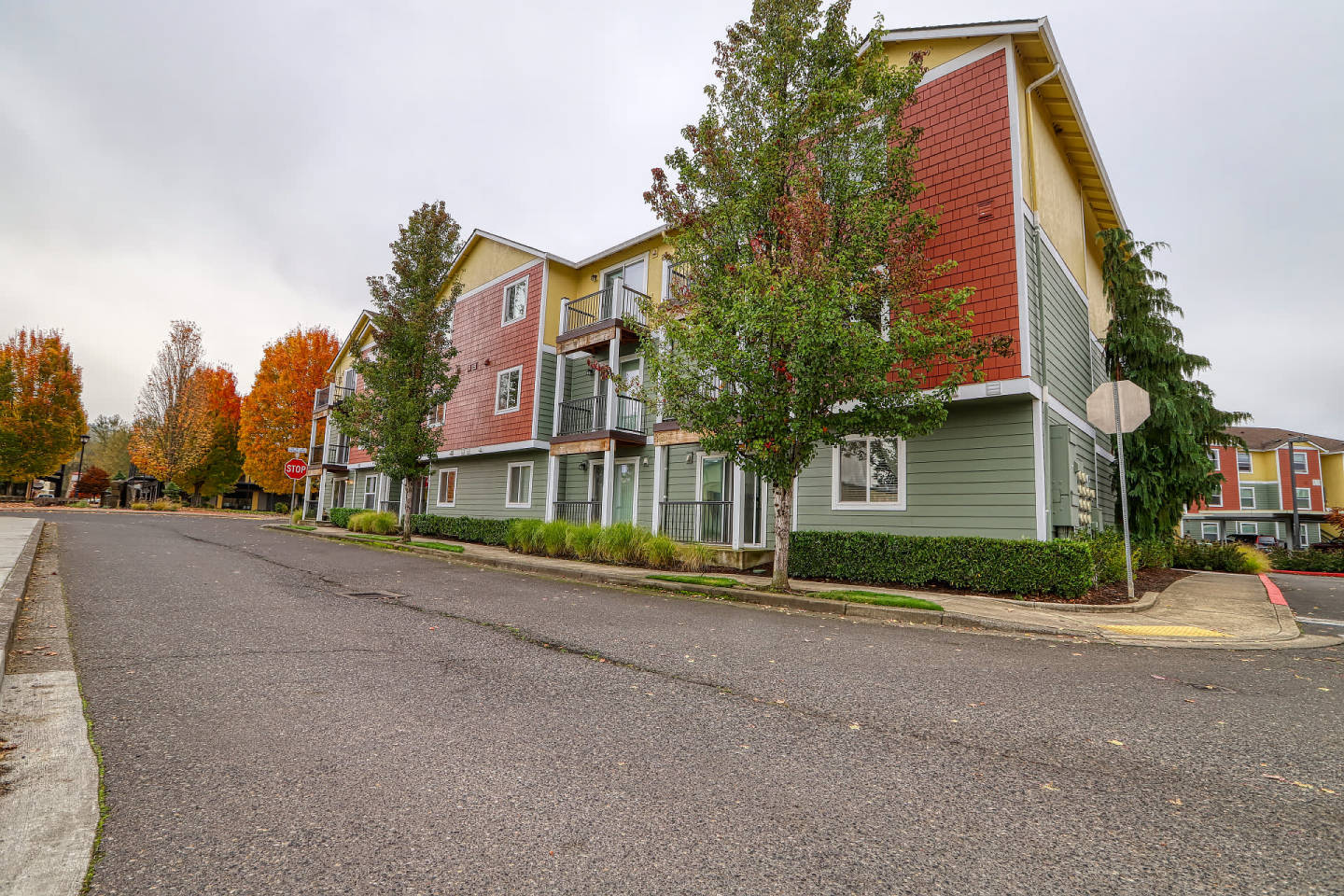 Seasons on the Park Image 9