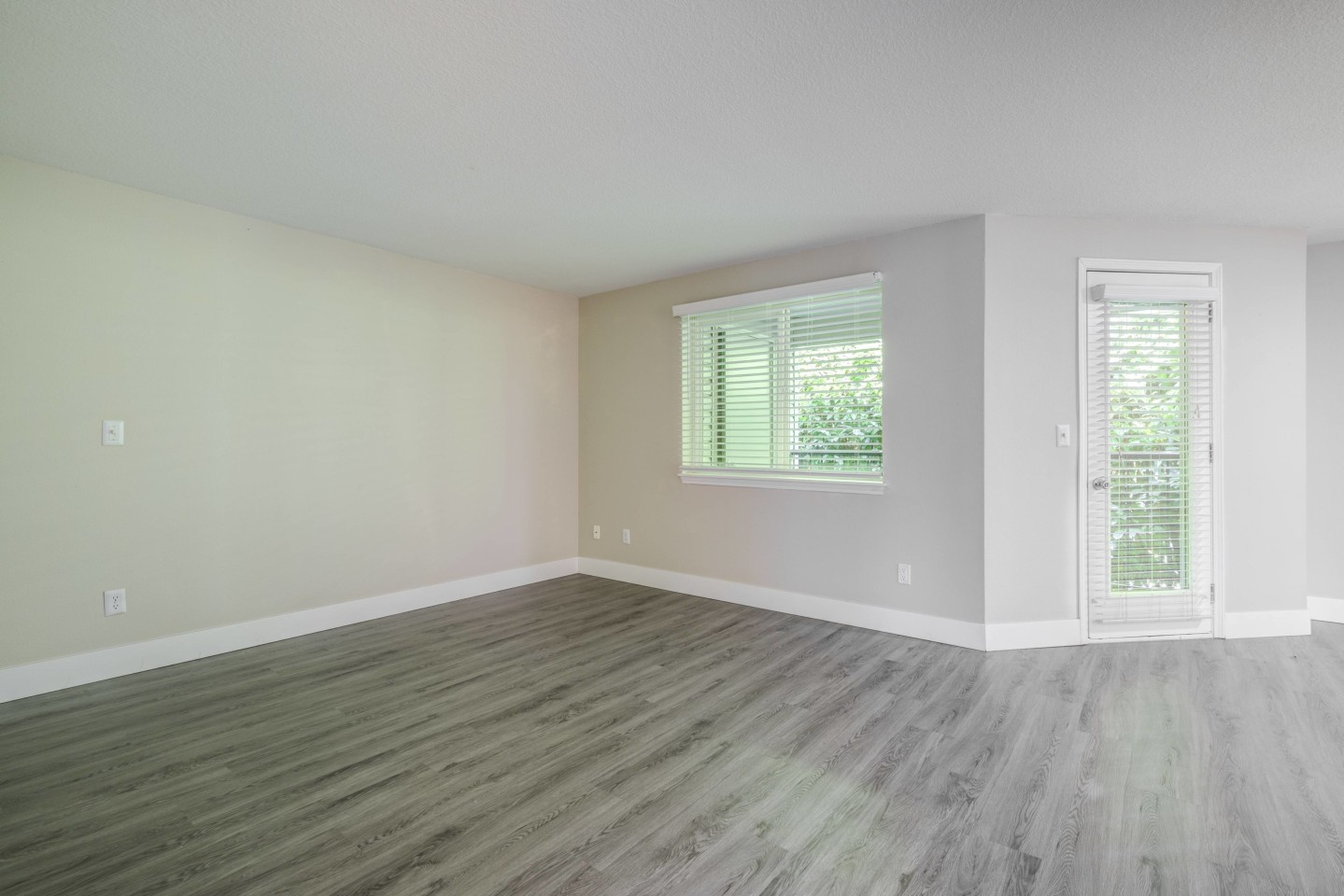 Avana Evergreen Image 52