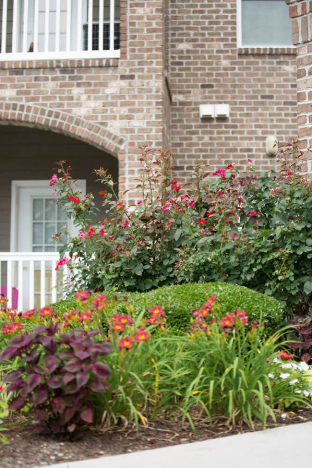 Wesleyan Place - Senior Housing Image 32