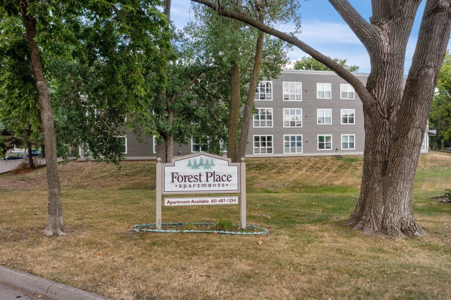 Forest Place Apartments Image 19