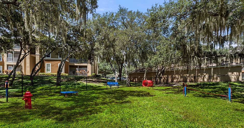 The Preserve at Lakeland Hills Image 26