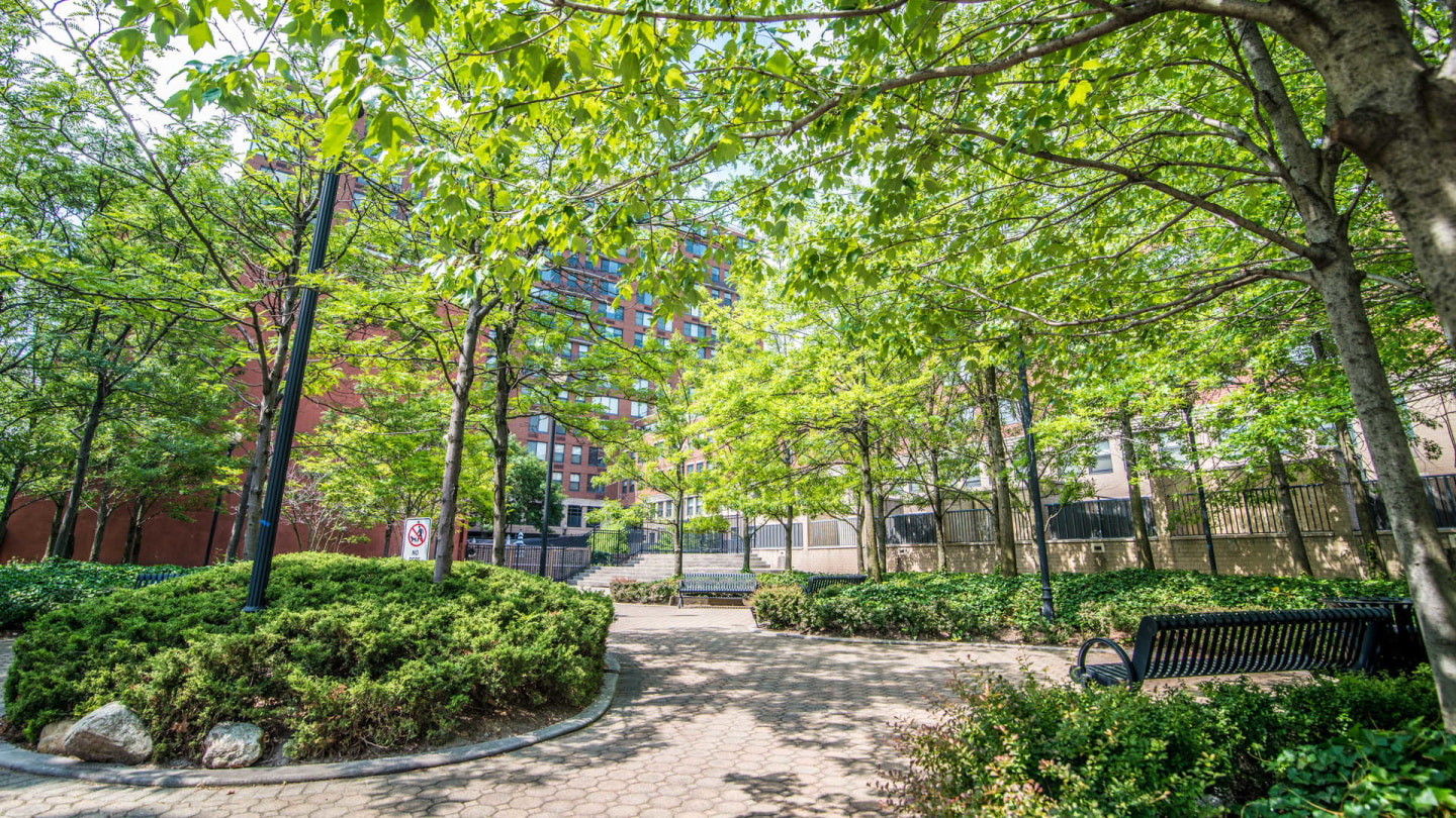 77 Park Avenue Image 46
