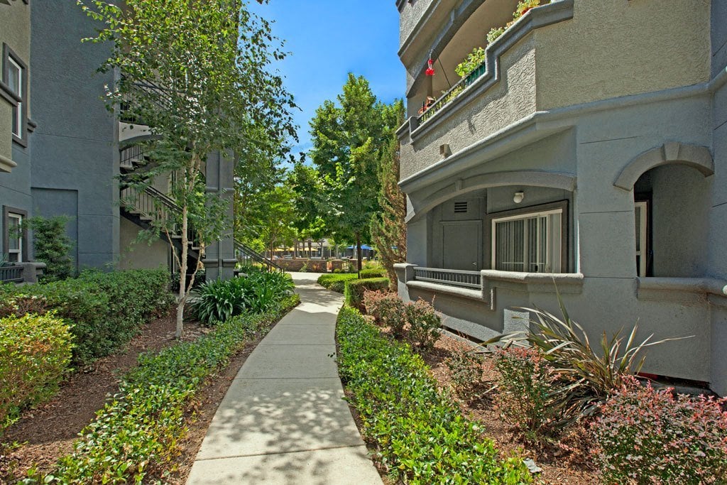 Broadleaf Apartments Image 87
