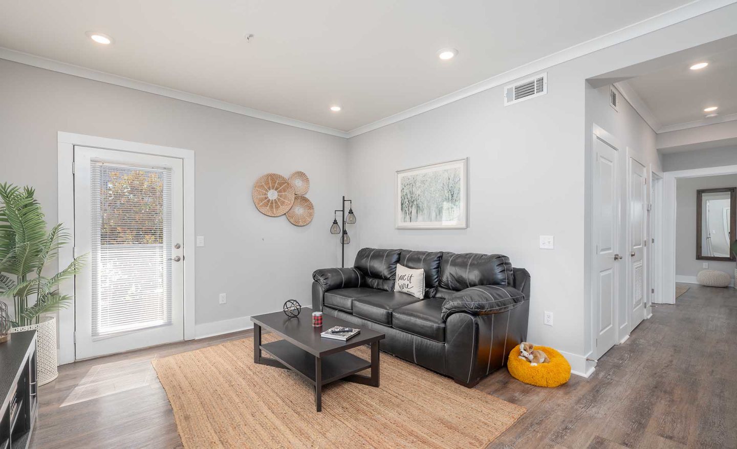 Paragon Luxury Apartments Image 6