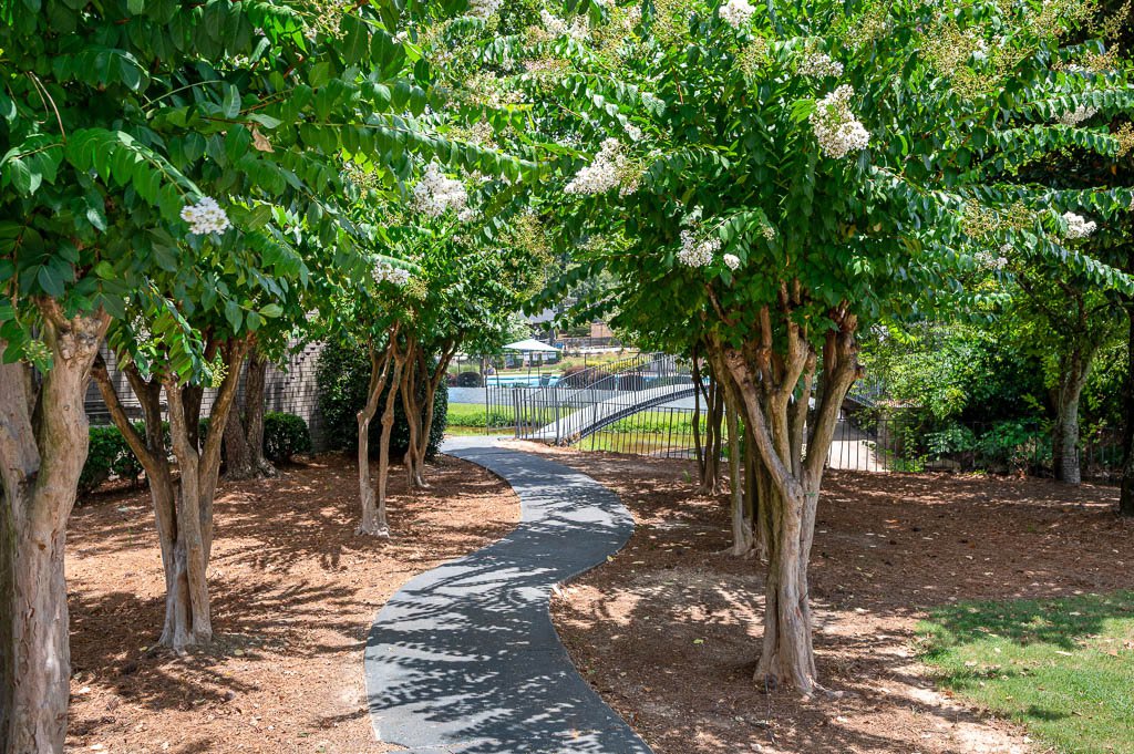 The Harrison Image 26