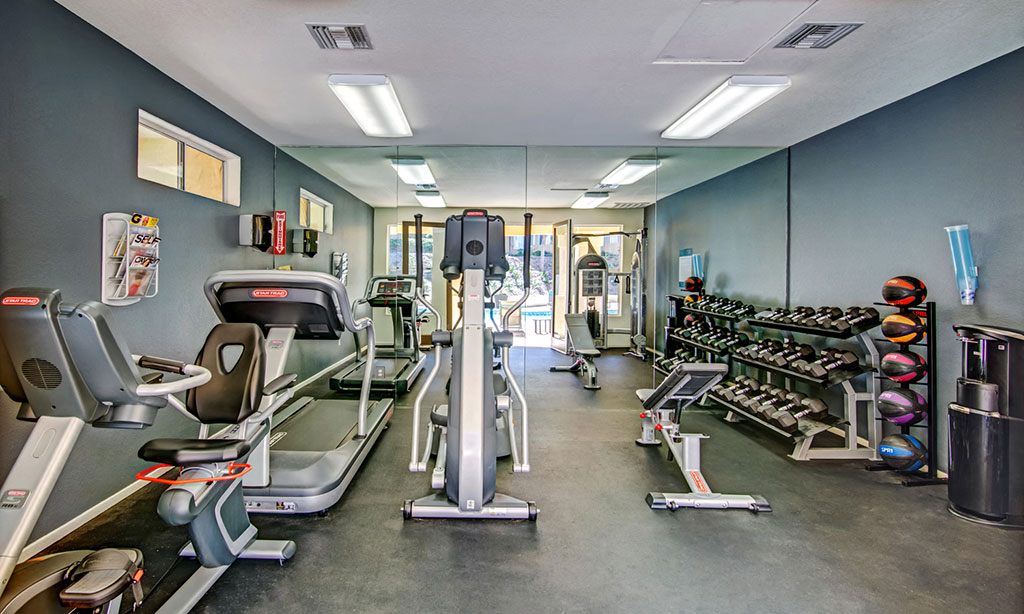 Sofi Canyon Hills Image 15