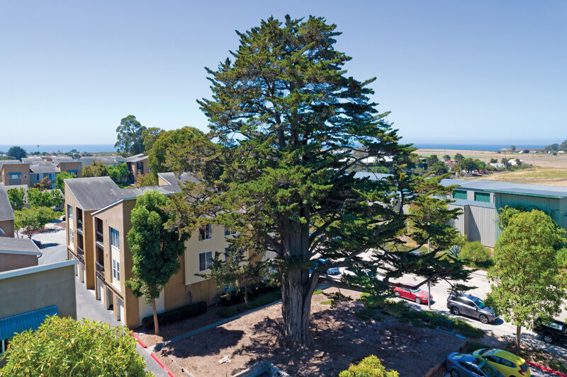 Pacific Shores Image 10