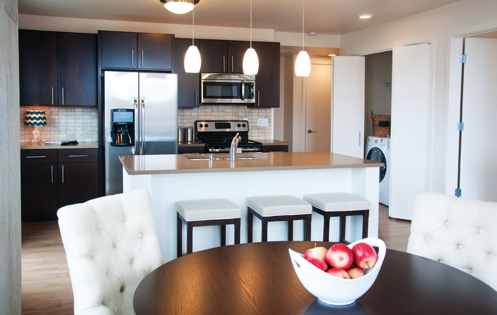 Ovation 309 Image 12