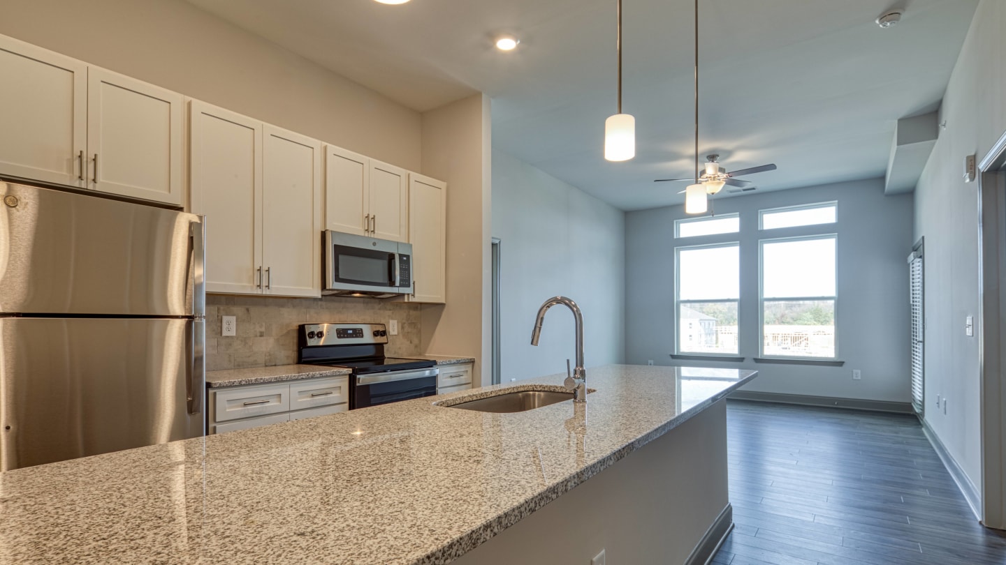 The View at Blue Ridge Commons Image 39