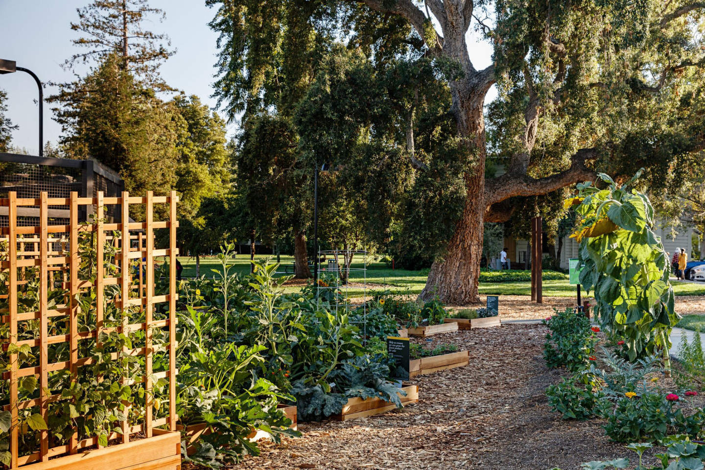 Mansion Grove Image 40
