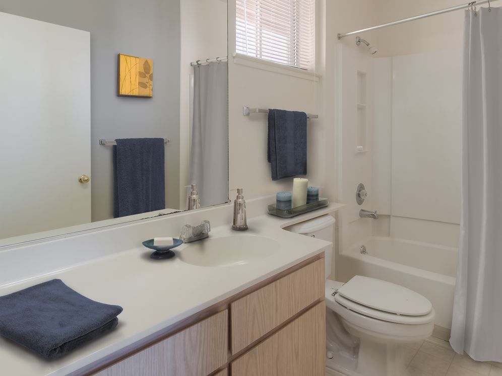 Avalon Fremont Image 19
