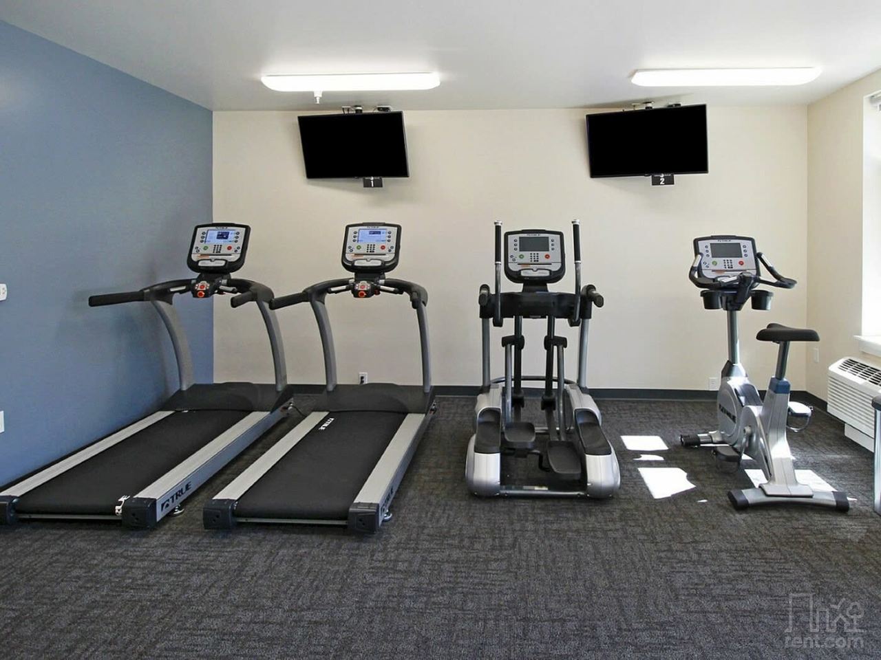 The Cameron Image 21