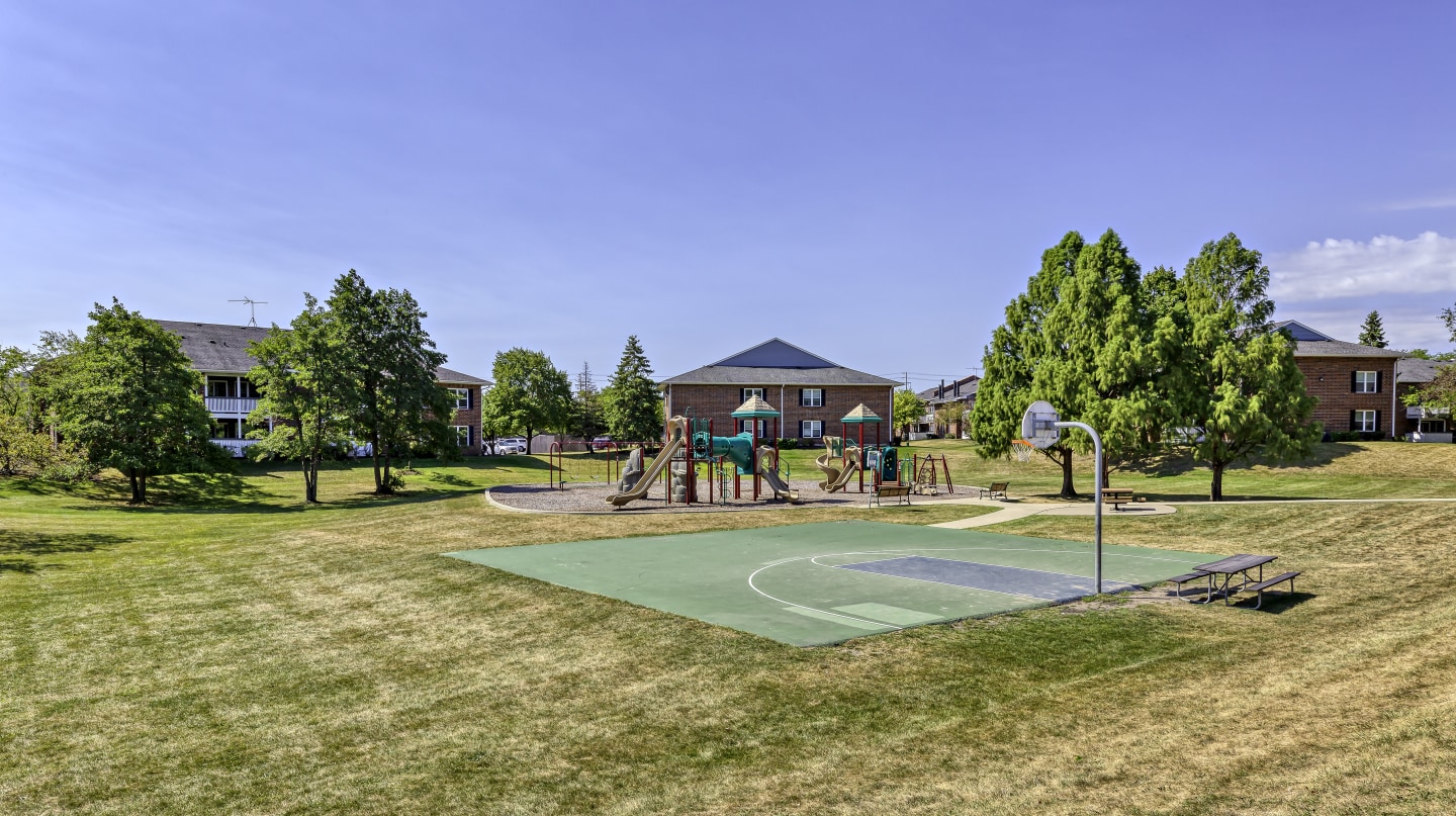 Ashton Image 1