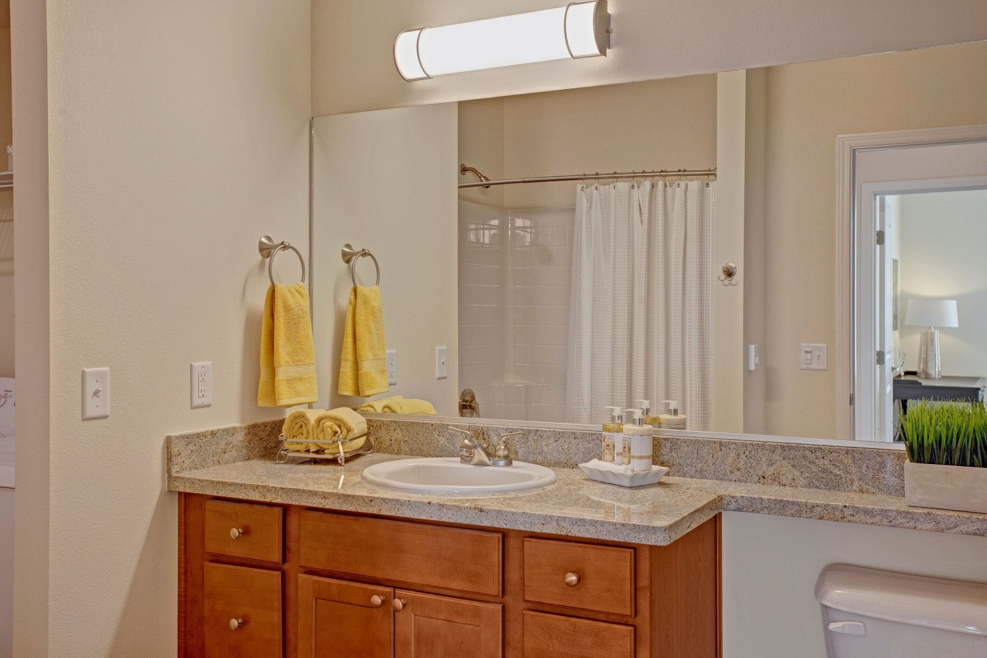 Solara Image 7