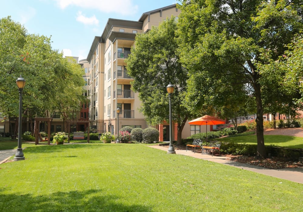 City Plaza Image 17