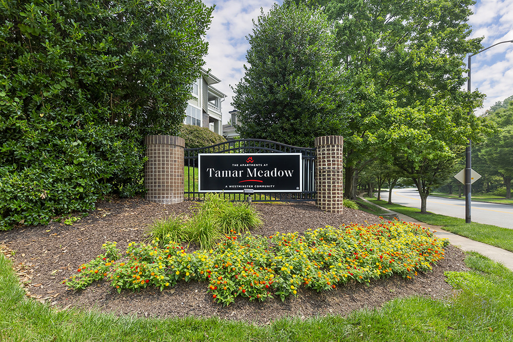 Tamar Meadow Apartments Image 4