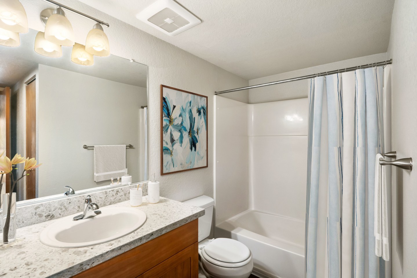 Cedarwood Image 7