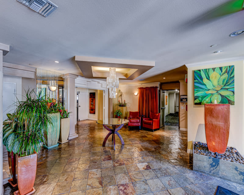 Palm Court Apartments Image 26