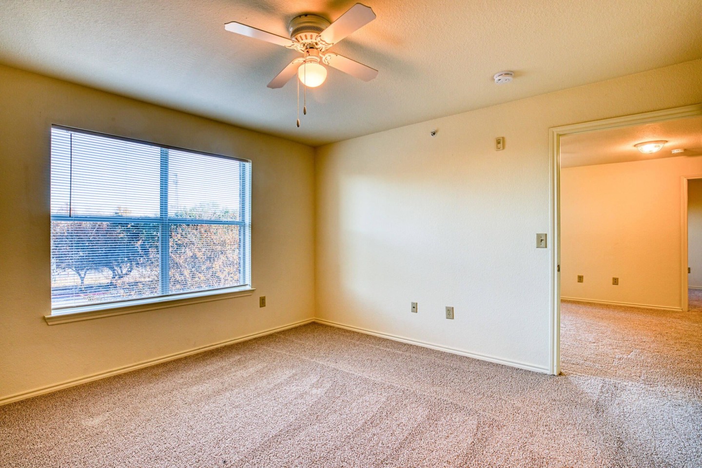Mariposa at Cedar Park Active Adult 55+ Apartment Homes Image 12