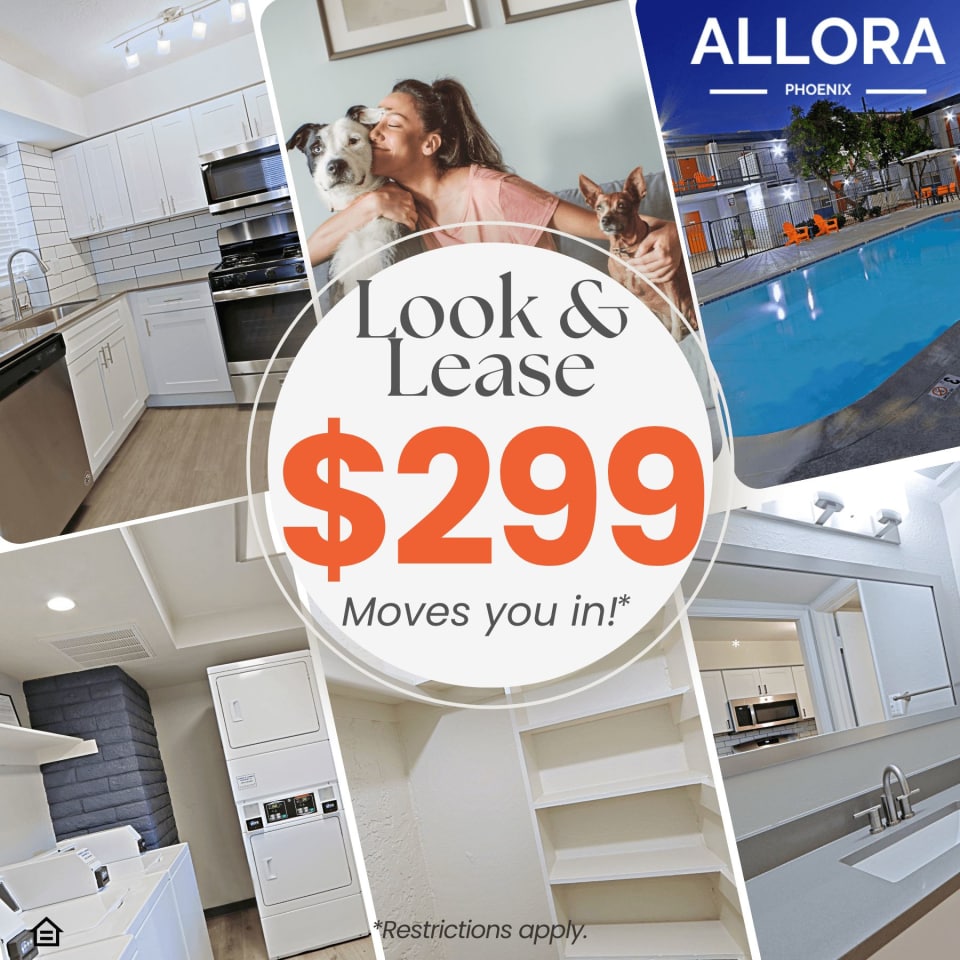 Allora Phoenix Image 1