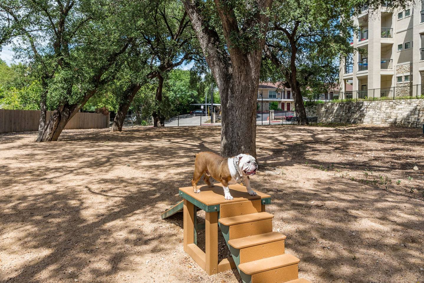 Cortland Brackenridge Image 23