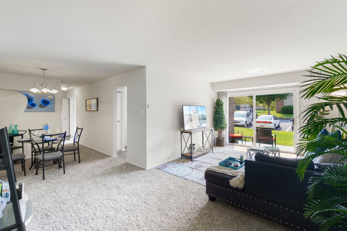 Apartments at Bel Air Image 14